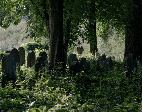 Sonntag, 19. Mai – Der jüdische Friedhof in Schwarz-Rheindorf